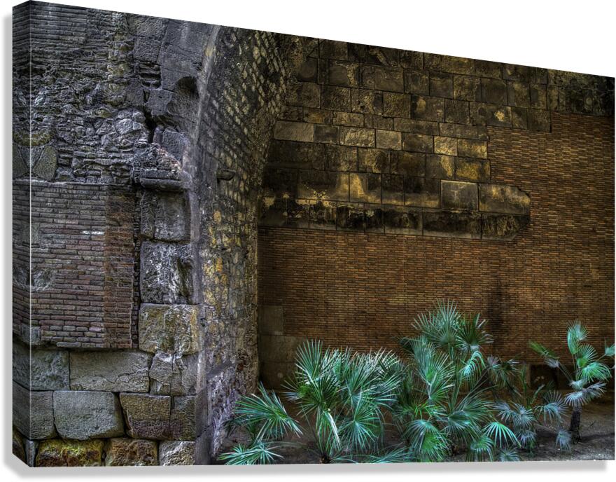 CIT 00376 Canvas Print