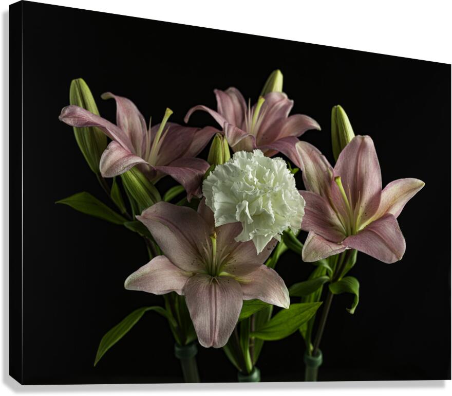 FLO 00435 Canvas Print