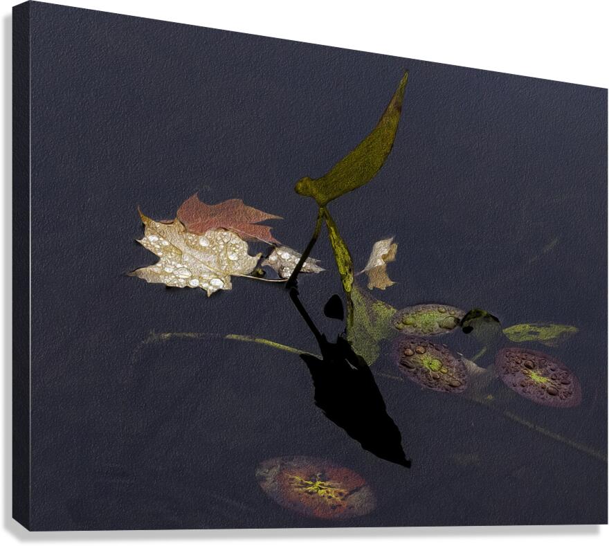 FLO 00467 Canvas Print