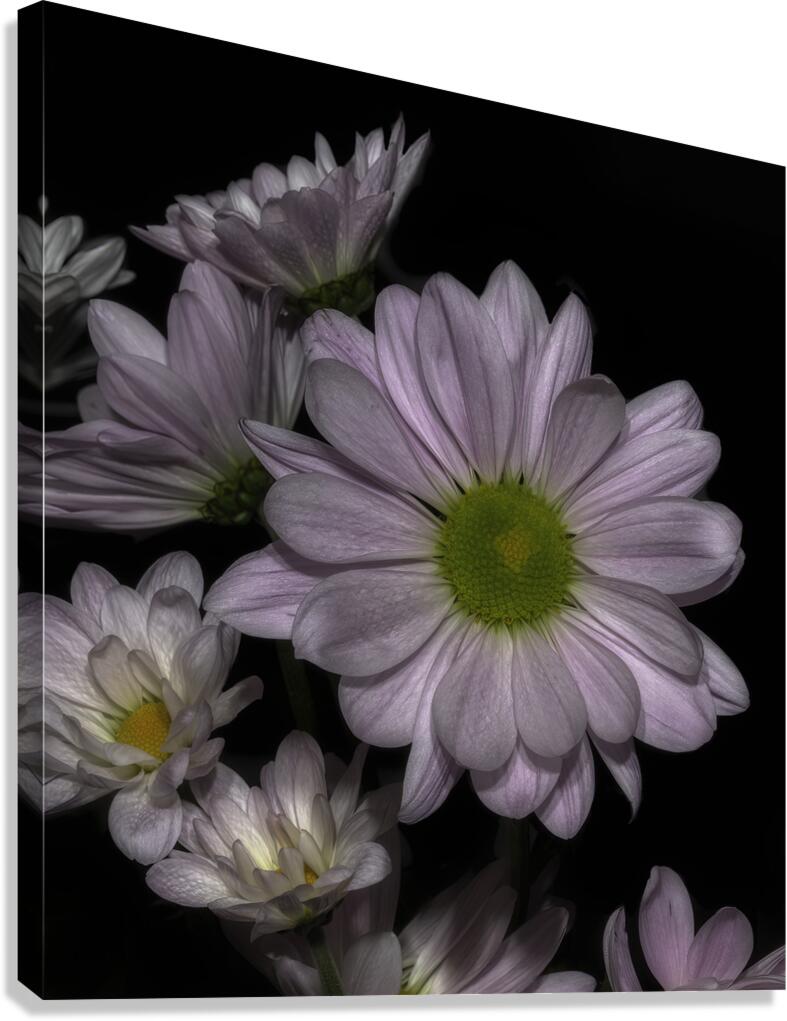 FLO 00534 Canvas Print