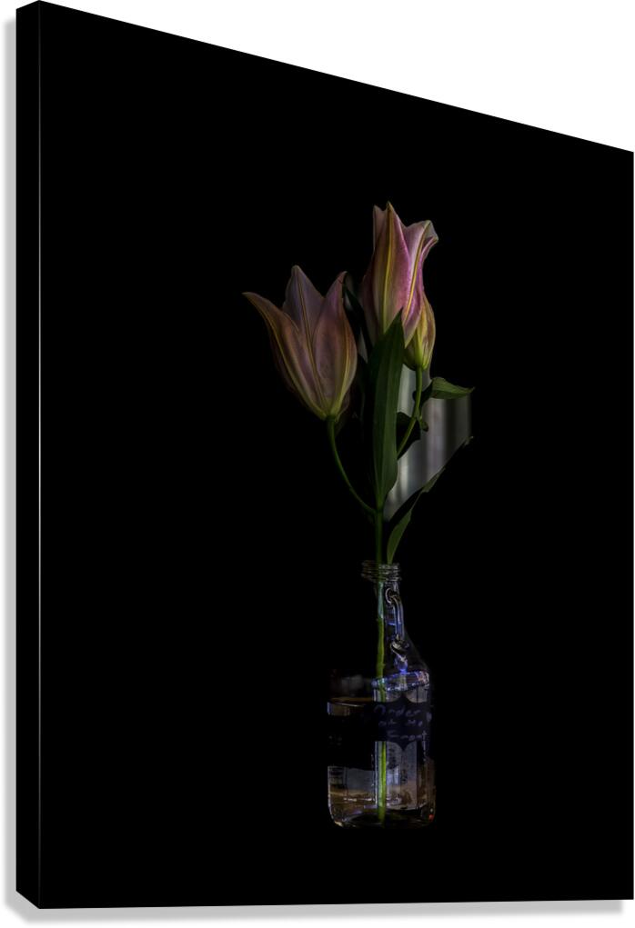 FLO 00600 Canvas Print