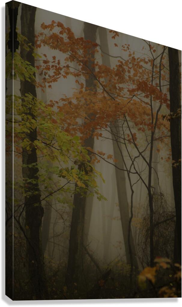 LAN 00656 Canvas Print