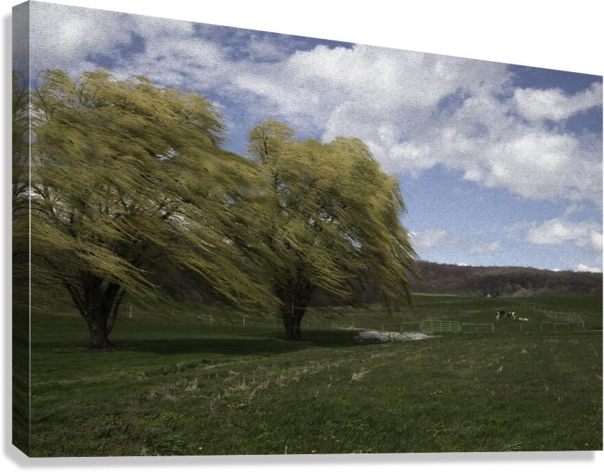 LAN 00695 Canvas Print
