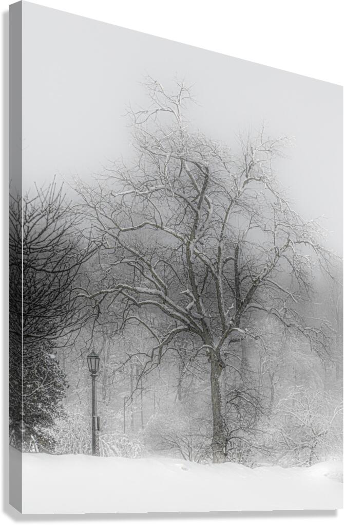 LAN 00657 Canvas Print