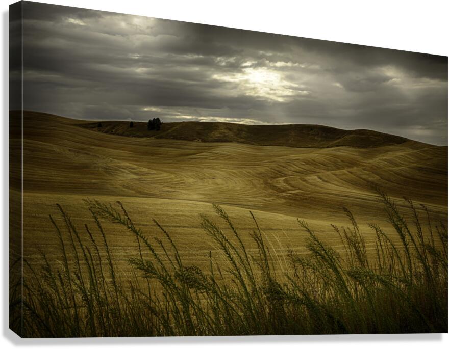 LAN 00658 Canvas Print