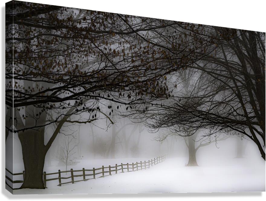 LAN 00659 Canvas Print