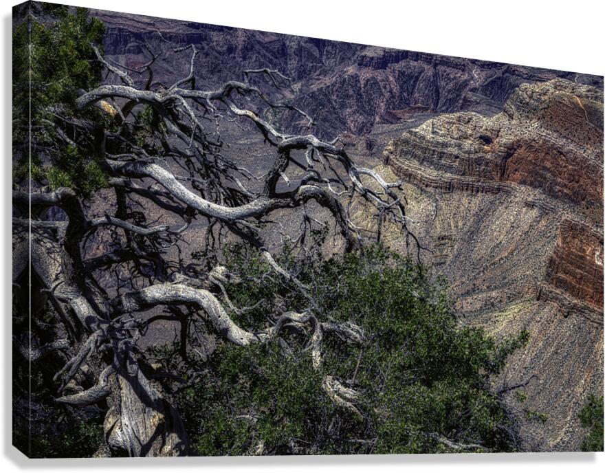 LAN 00701 Canvas Print