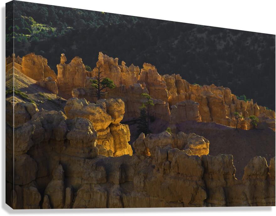 LAN 00745 Canvas Print