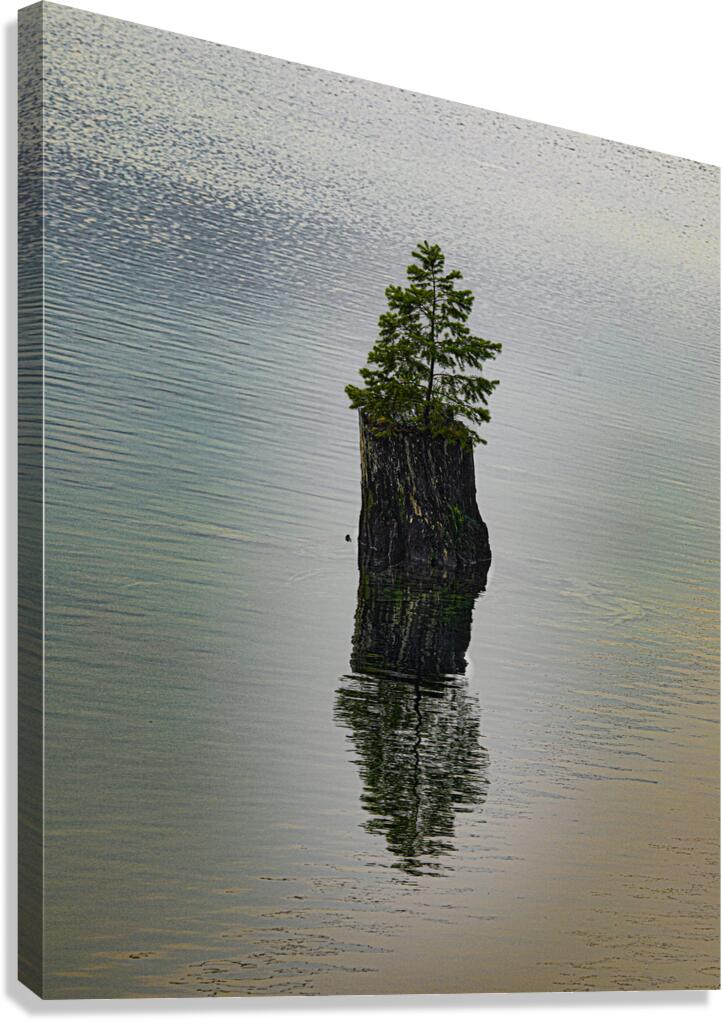 LAN 00742 Canvas Print