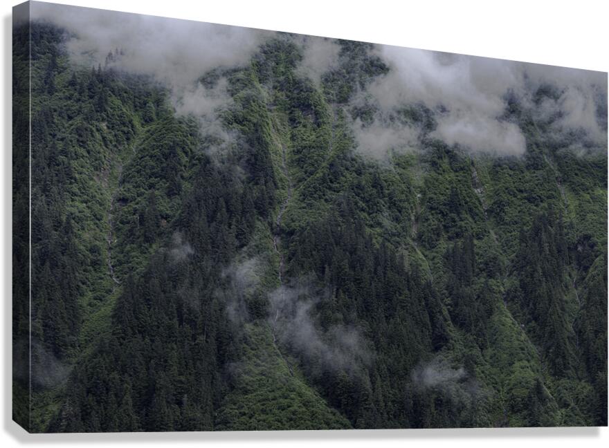 LAN 00772 Canvas Print
