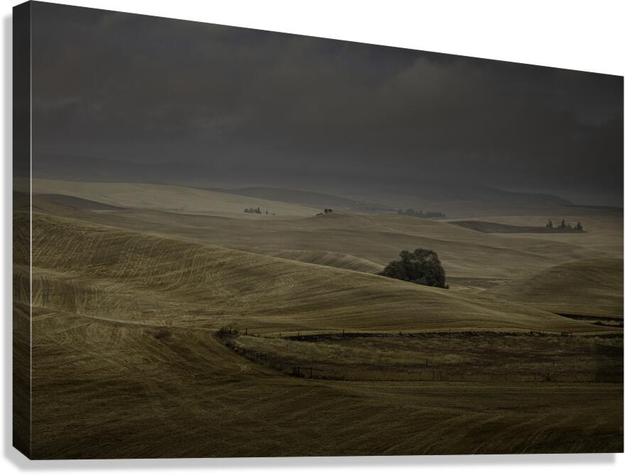 LAN 00784 Canvas Print