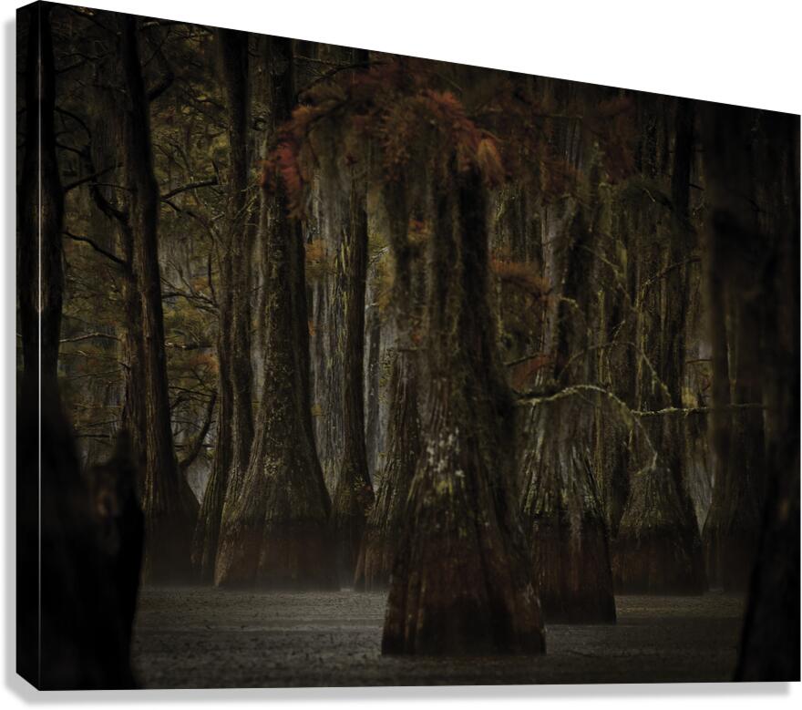 LAN 00799 Canvas Print