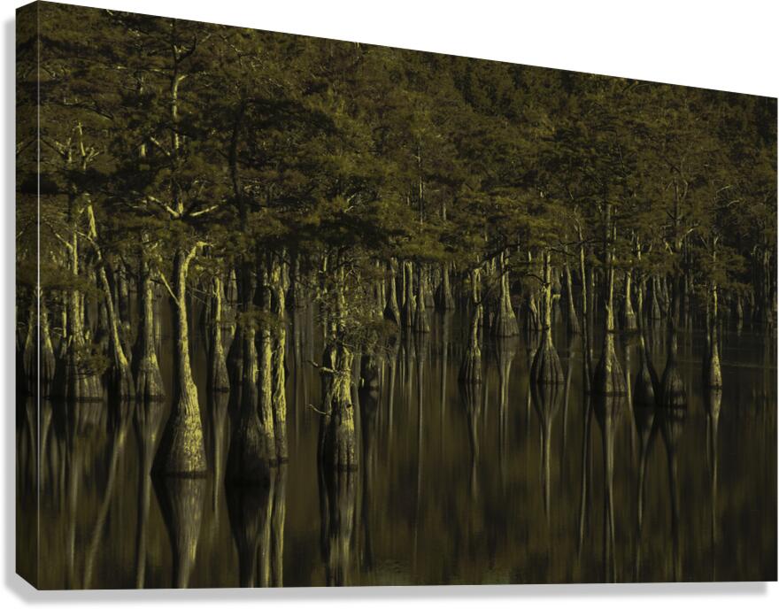 LAN 00798 Canvas Print