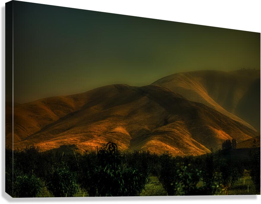 LAN 00787 Canvas Print