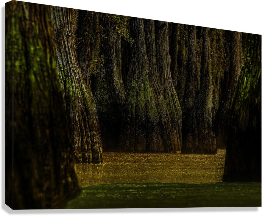 LAN 00800 Canvas Print