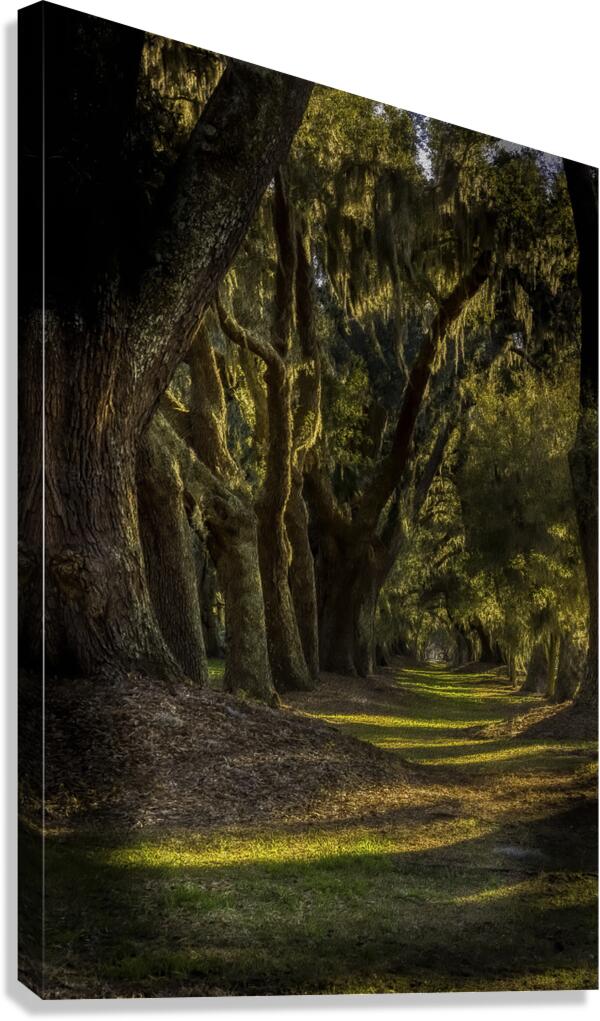 LAN 00824 Canvas Print