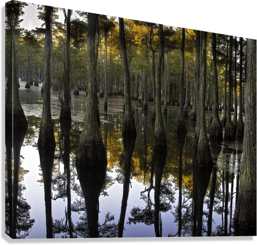 LAN 00802 Canvas Print