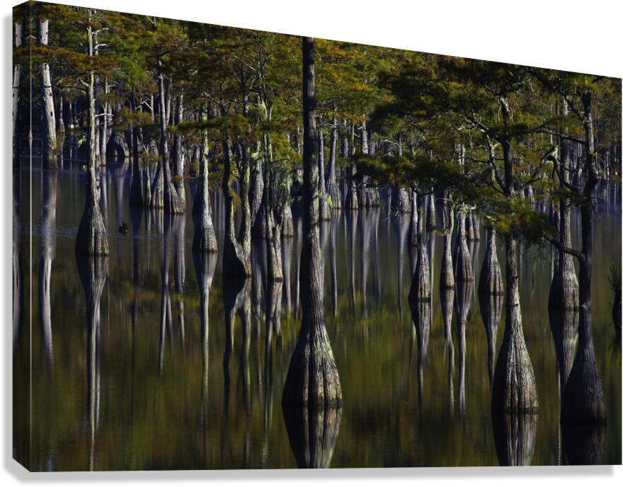 *LAN 00803 Canvas Print