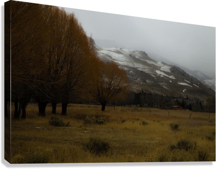 LAN 00836 Canvas Print