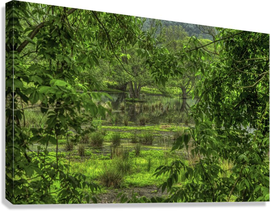 LAN 00846 Canvas Print