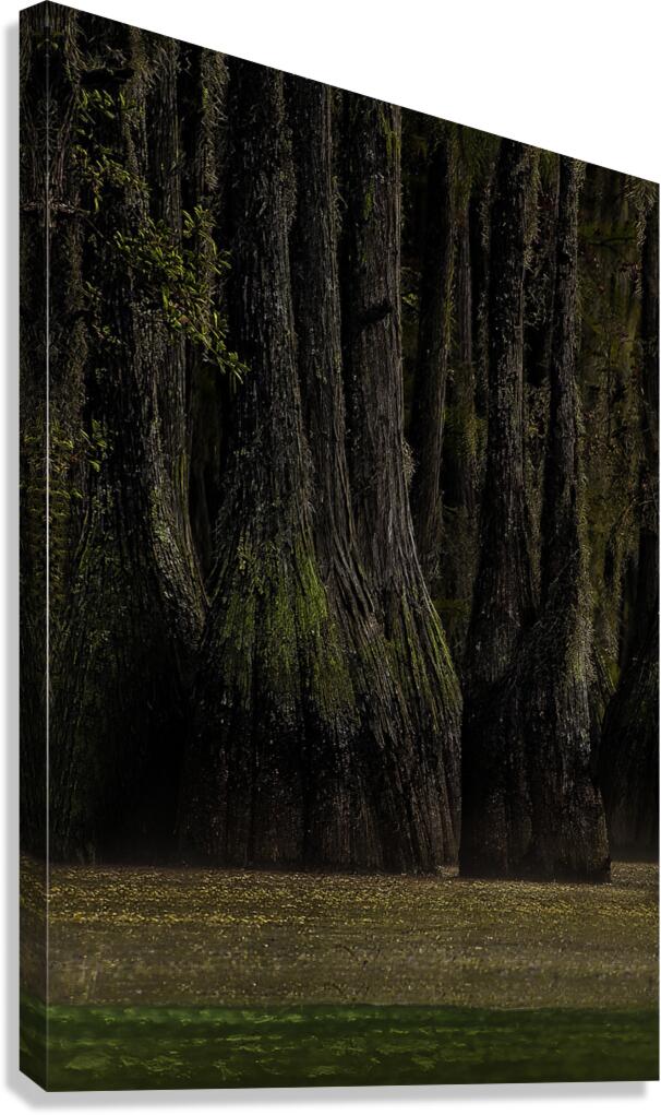 LAN 00801 Canvas Print