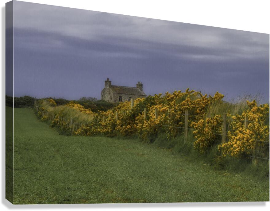 LAN 00838 Canvas Print