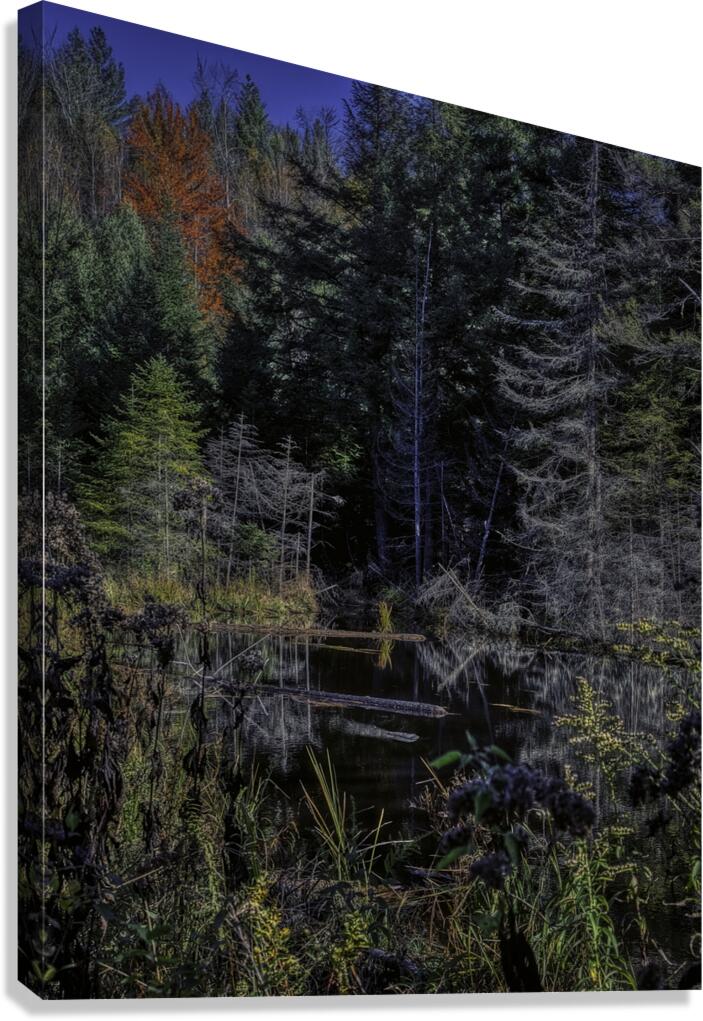 LAN 00869 Canvas Print