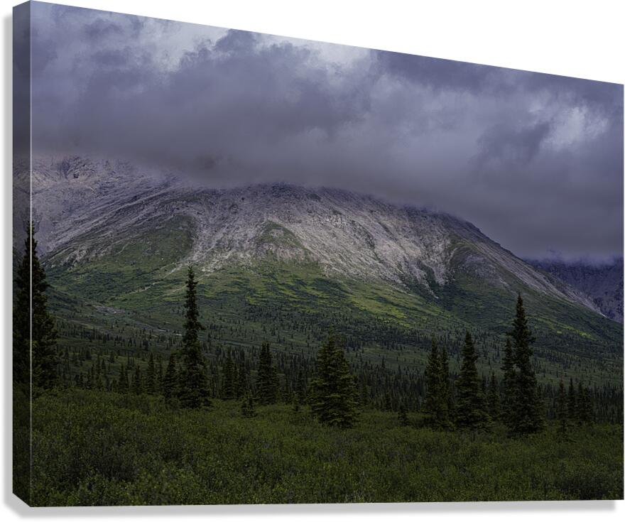LAN 00878 Canvas Print