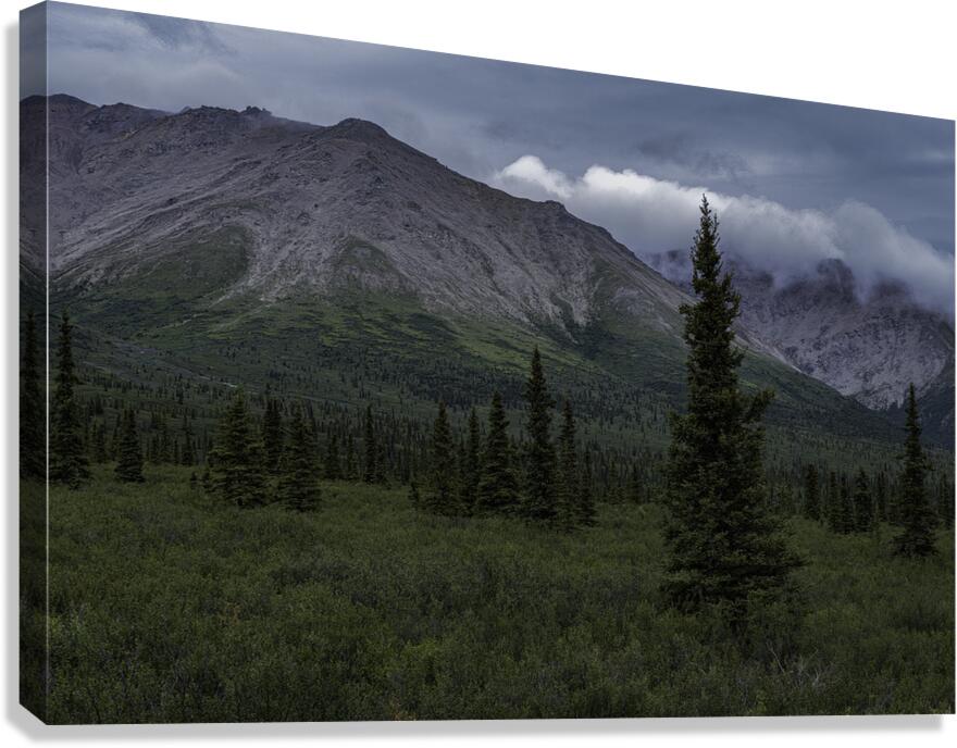 LAN 00879 Canvas Print