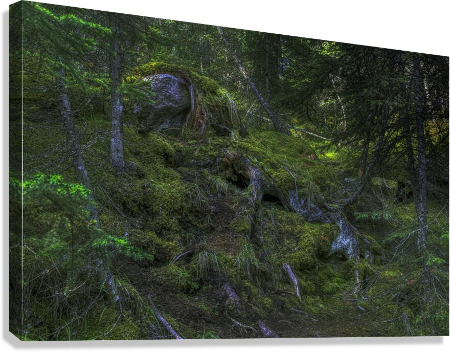 LAN 00976 Canvas Print