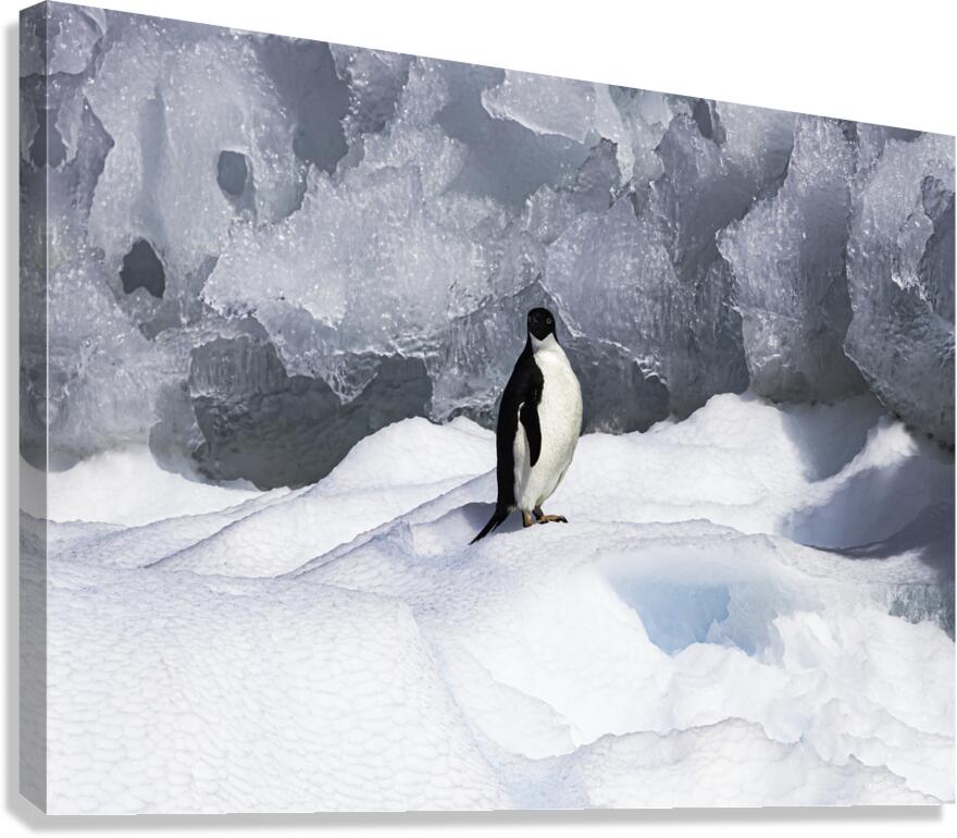 LAN 00934 Canvas Print