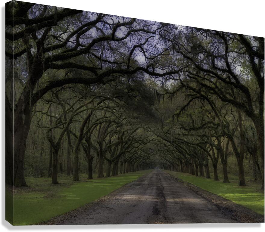 LAN 00958 Canvas Print