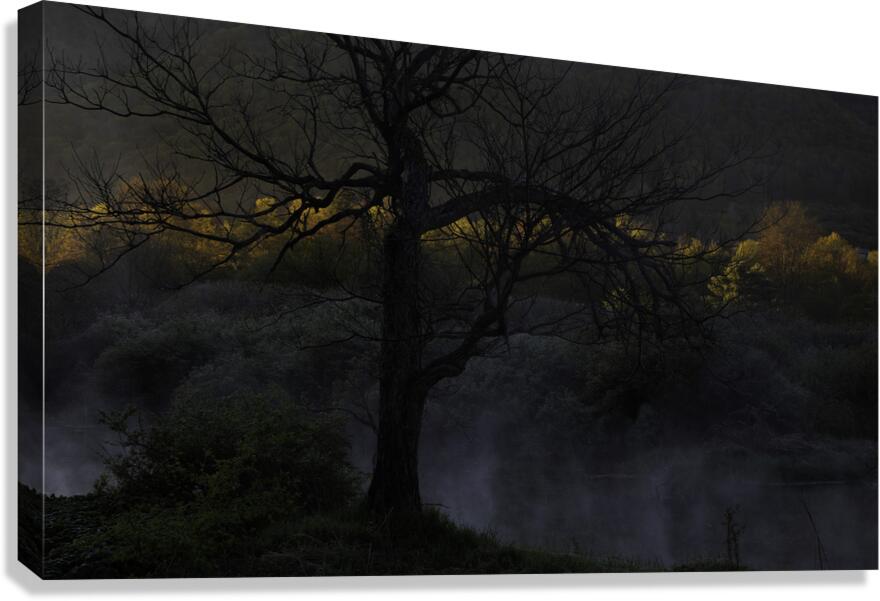 LAN 00977 Canvas Print
