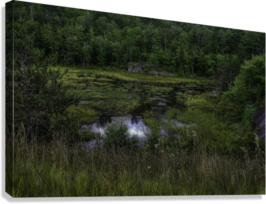 LAN 00956 Canvas Print