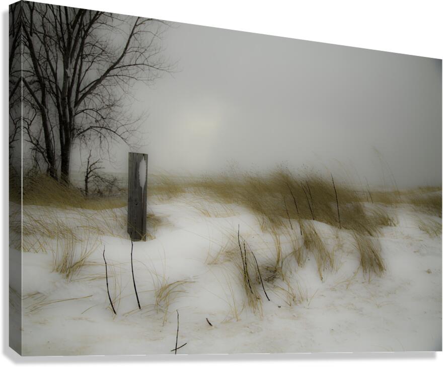 MIS 00989 Canvas Print