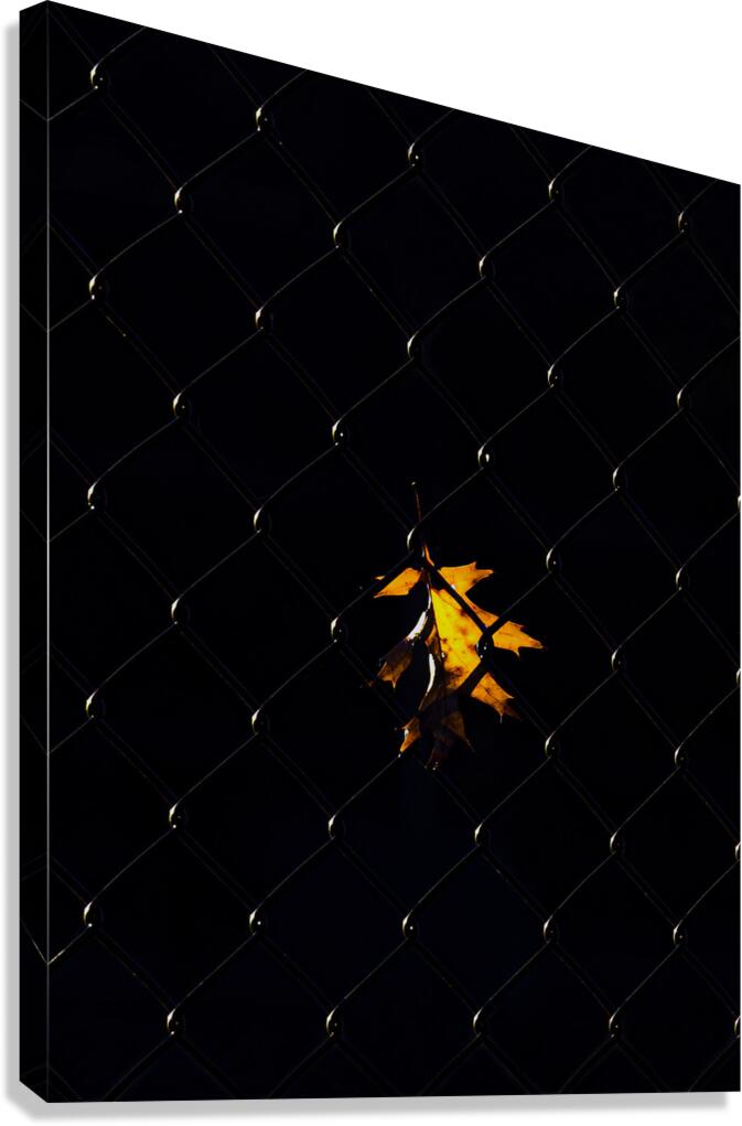 MIS 01017 Canvas Print