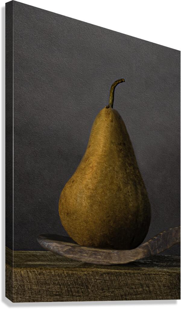 MIS 00997 Canvas Print