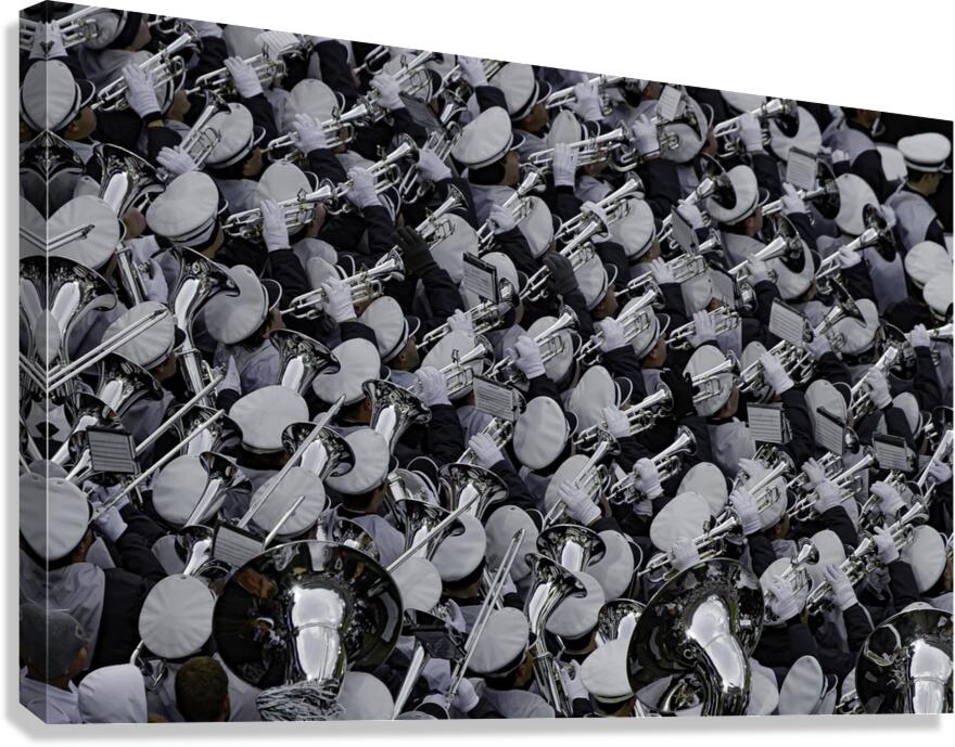 MIS 00987 Canvas Print