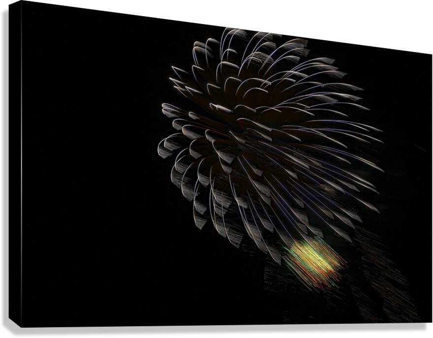 MIS 01030 Canvas Print