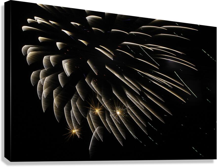 MIS 01049 Canvas Print