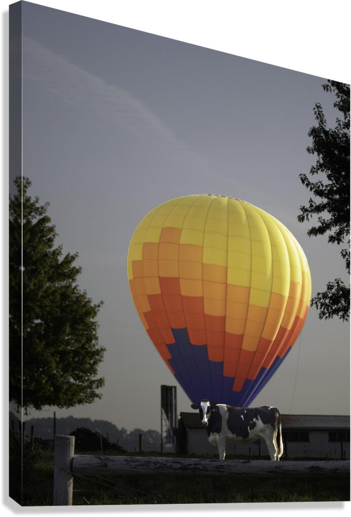 MIS 01002 Canvas Print