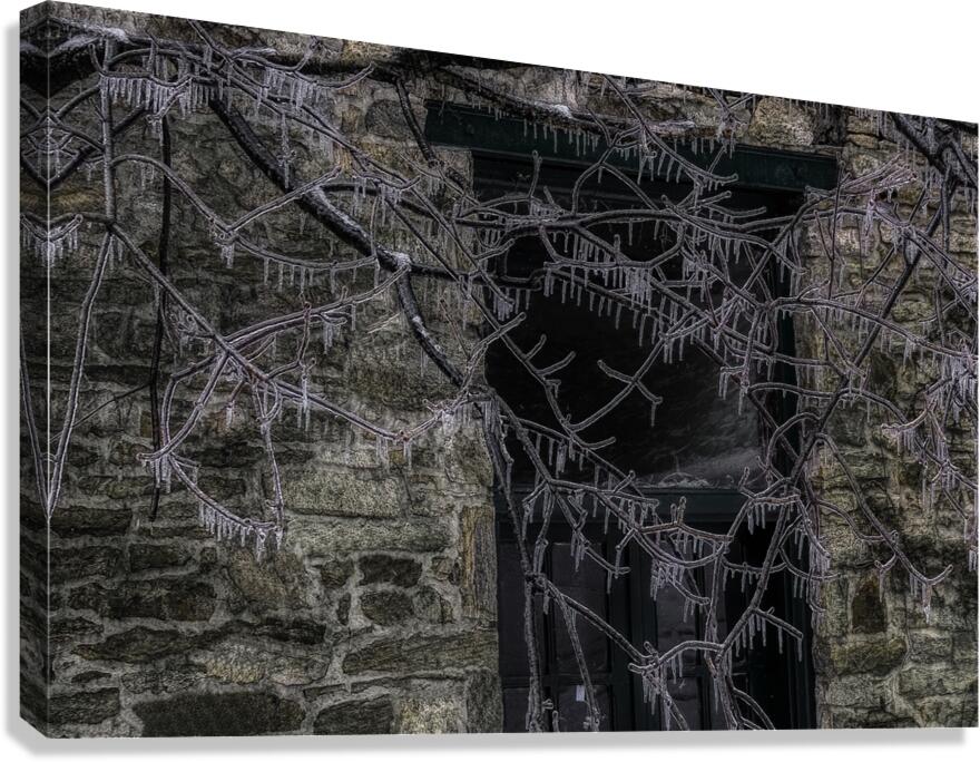 MIS 01064 Canvas Print