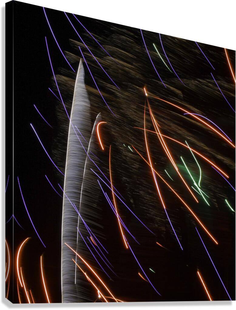 MIS 01055 Canvas Print