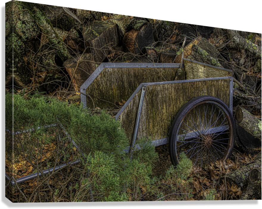 MIS 01108 Canvas Print