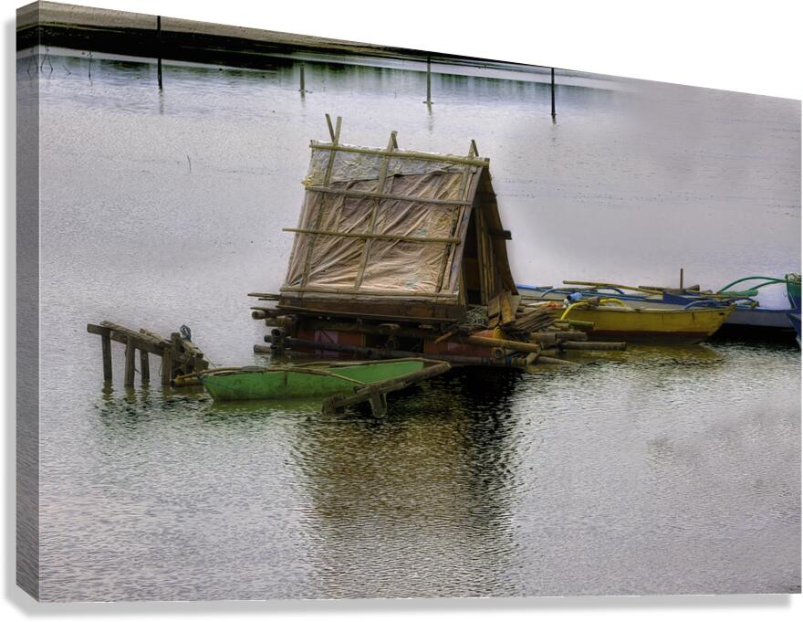 MIS 01100 Canvas Print