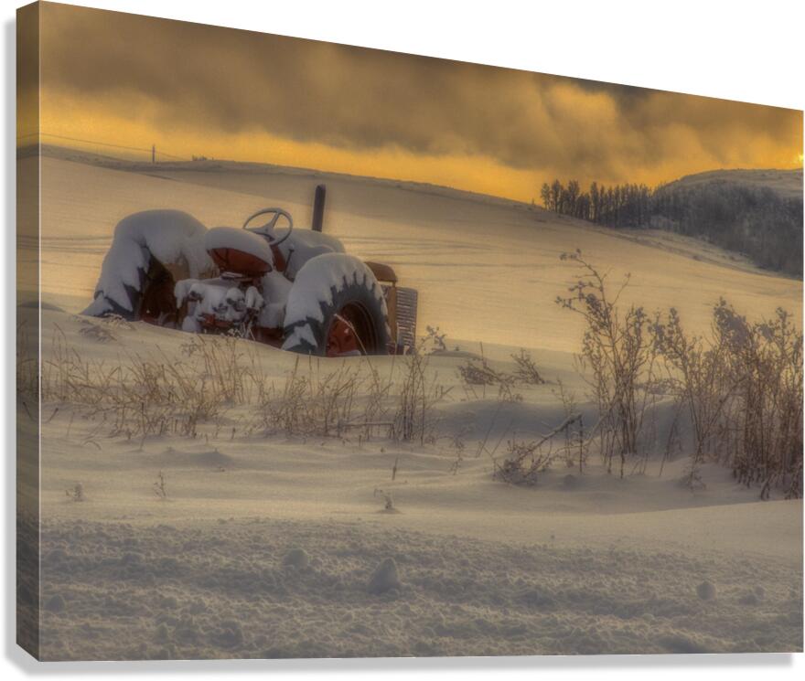 MIS 01069 Canvas Print