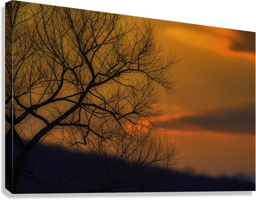 MIS 01068 Canvas Print