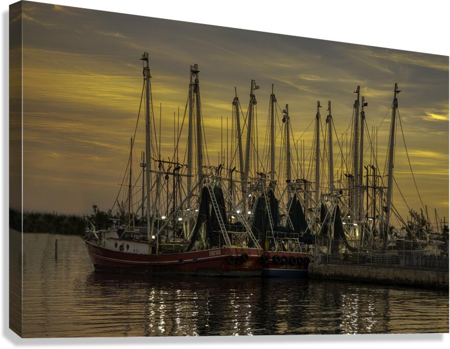 MIS 01097 Canvas Print