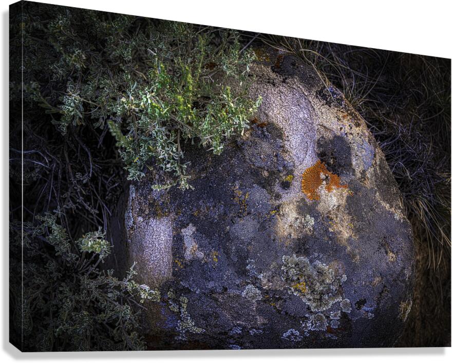 MIS 01110 Canvas Print