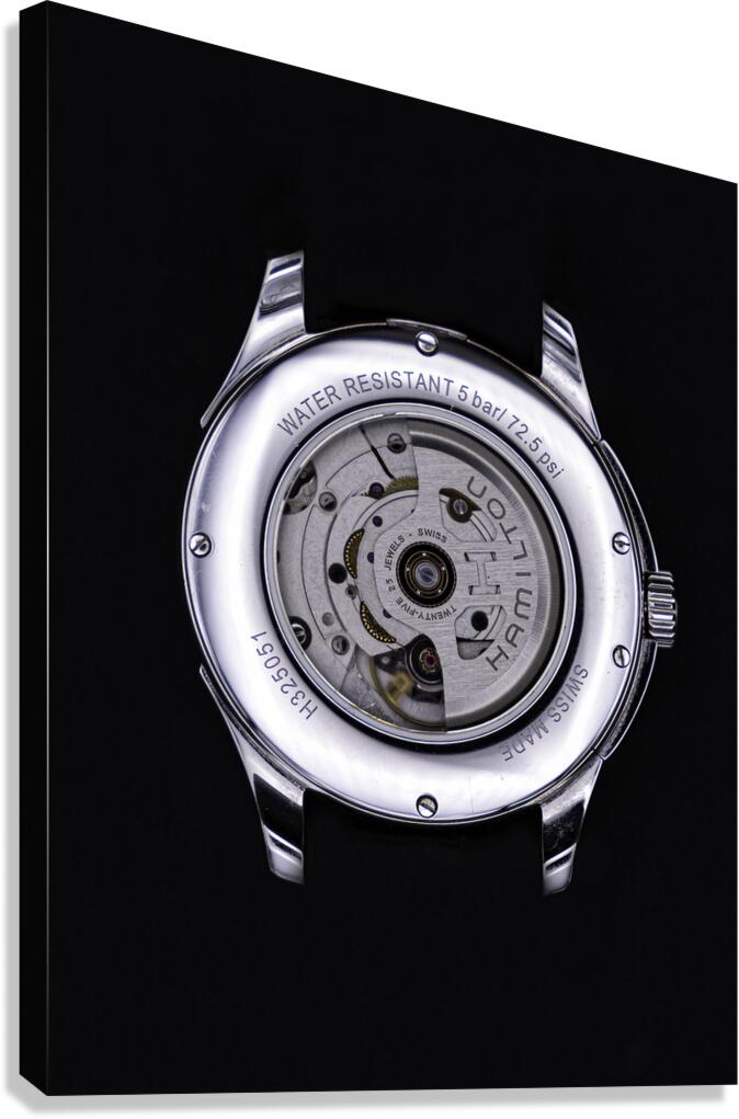 MIS 01057 Canvas Print